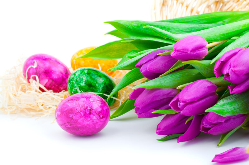 Colorful Easter Eggs and Tulips
