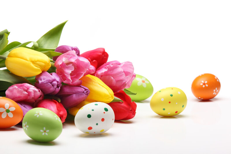 Colorful Easter Eggs and Tulips — Yellow