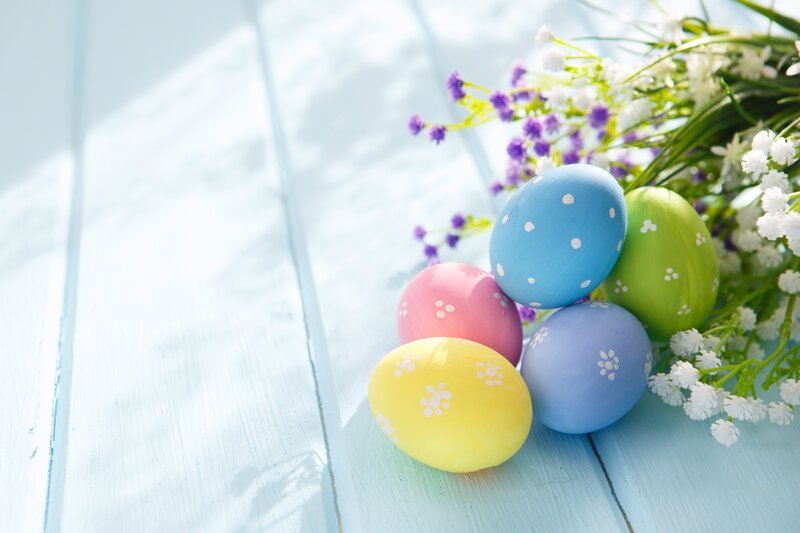 Colorful Easter Eggs — Blue, Festive, Spring, Photograph, Flowers