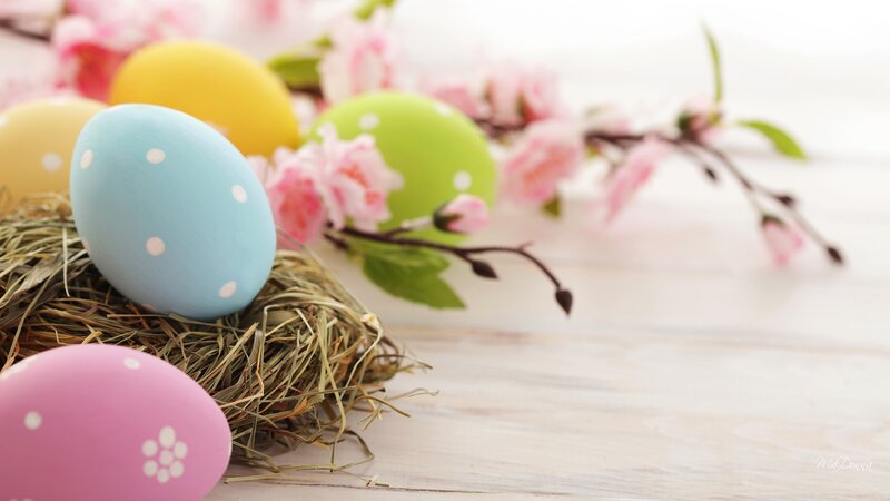 Colorful Easter Eggs — Blue, Serene