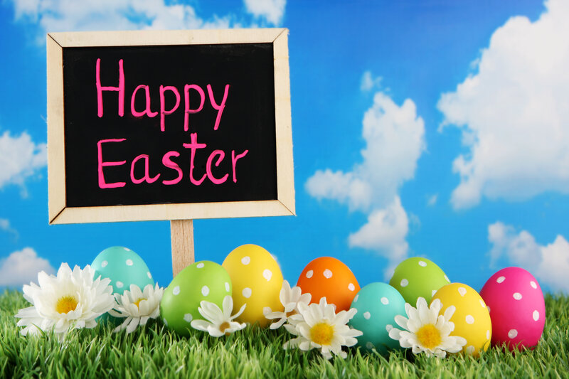 Colorful Easter Eggs — Green, Festive, Spring, Photograph, Daisies