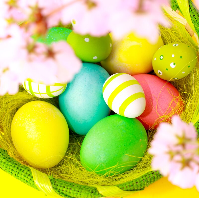 Colorful Easter Eggs — Green, Festive, Spring, Photograph, Flowers, Basket
