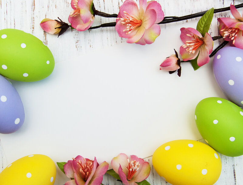 Colorful Easter Eggs — Green, Festive, Spring, Photograph, Flowers, Branches