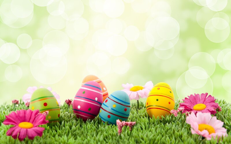 Colorful Easter Eggs — Green, Festive, Spring, Photograph, Flowers, Grass