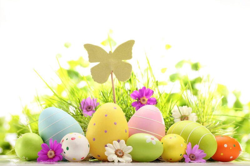 Colorful Easter Eggs — Green, Festive, Spring, Photograph, Flowers