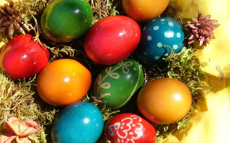 Colorful Easter Eggs — Green, Festive, Spring, Photograph, Moss