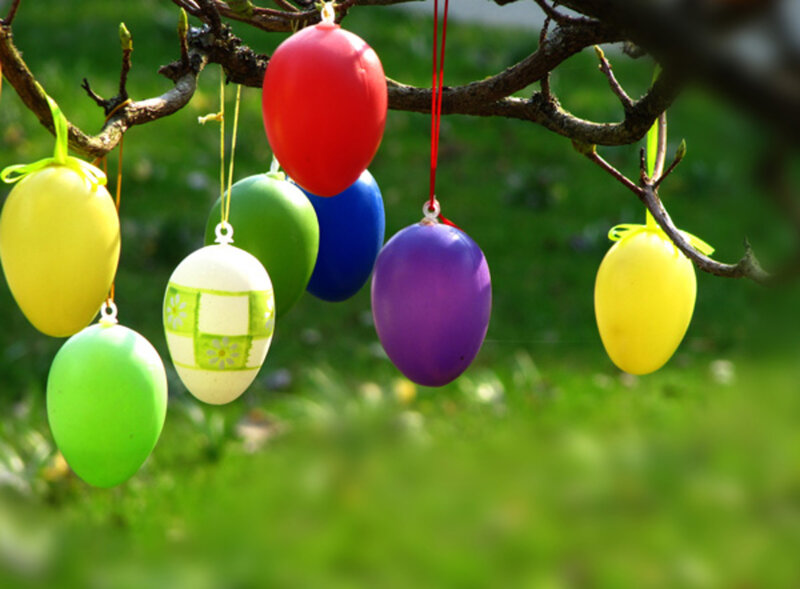 Colorful Easter Eggs — Green, Festive, Spring, Photograph, Tree Branch