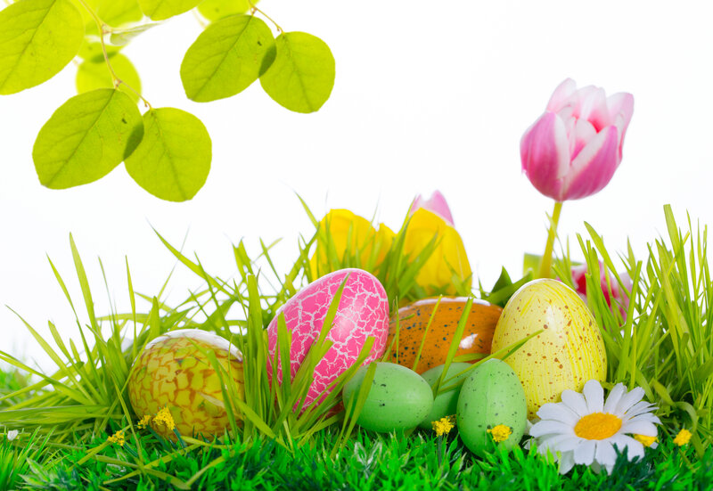 Colorful Easter Eggs — Green, Festive, Spring, Photograph, Tulip