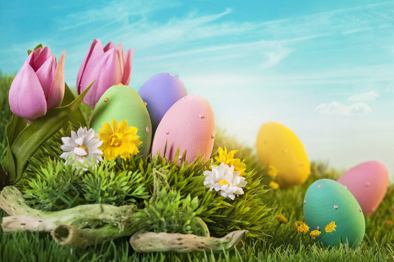 Colorful Easter Eggs — Green, Festive, Spring, Photograph, Tulips