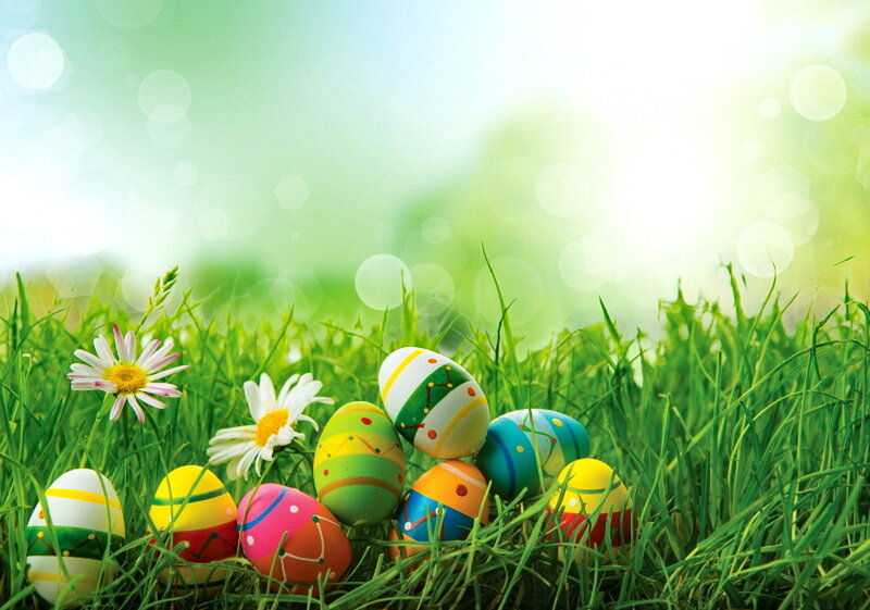 Colorful Easter Eggs — Green, Serene, Spring, Photograph
