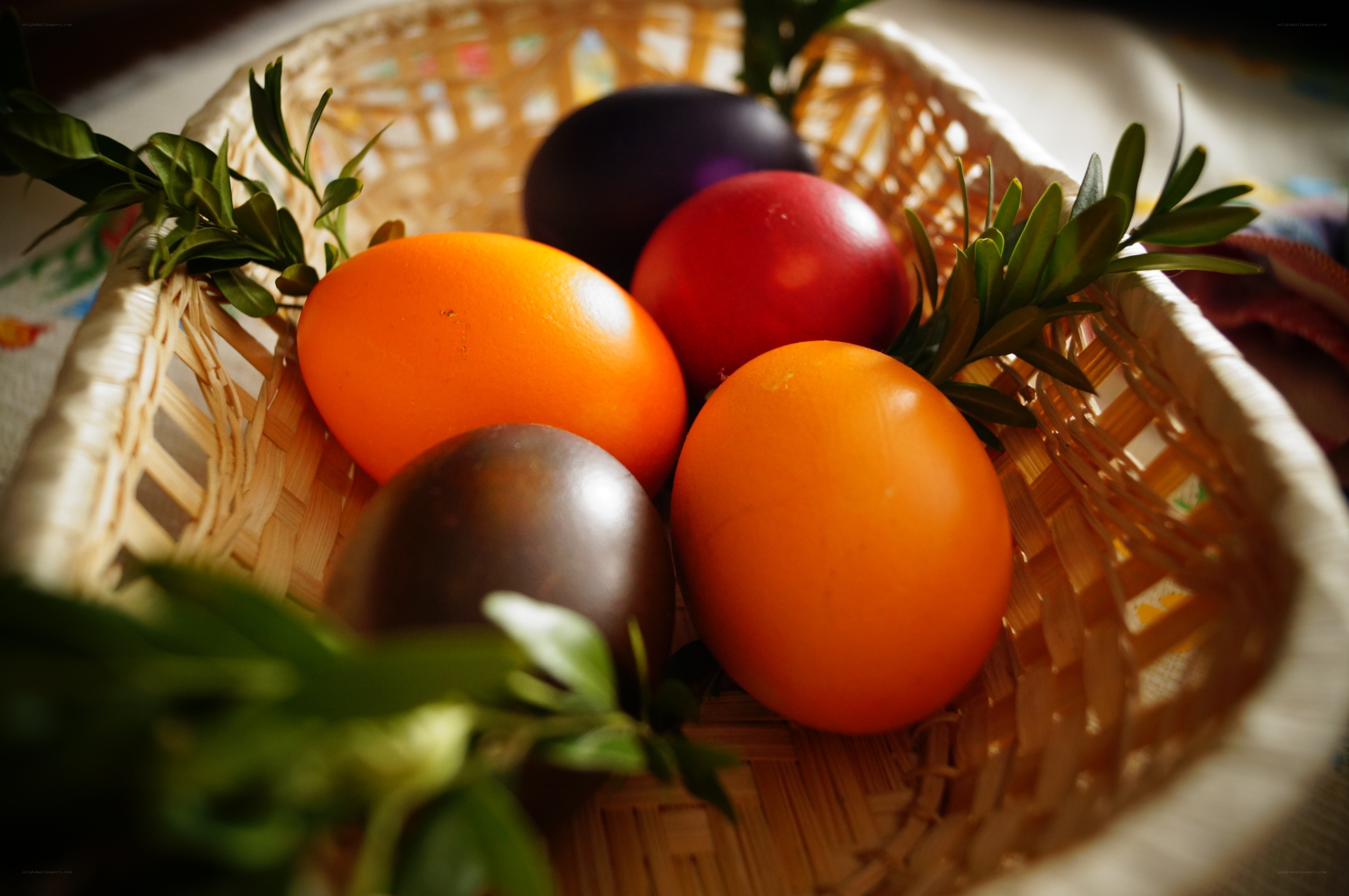 Colorful Easter eggs in a basket