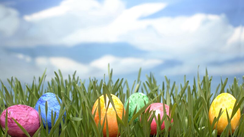 Colorful Easter eggs in grass