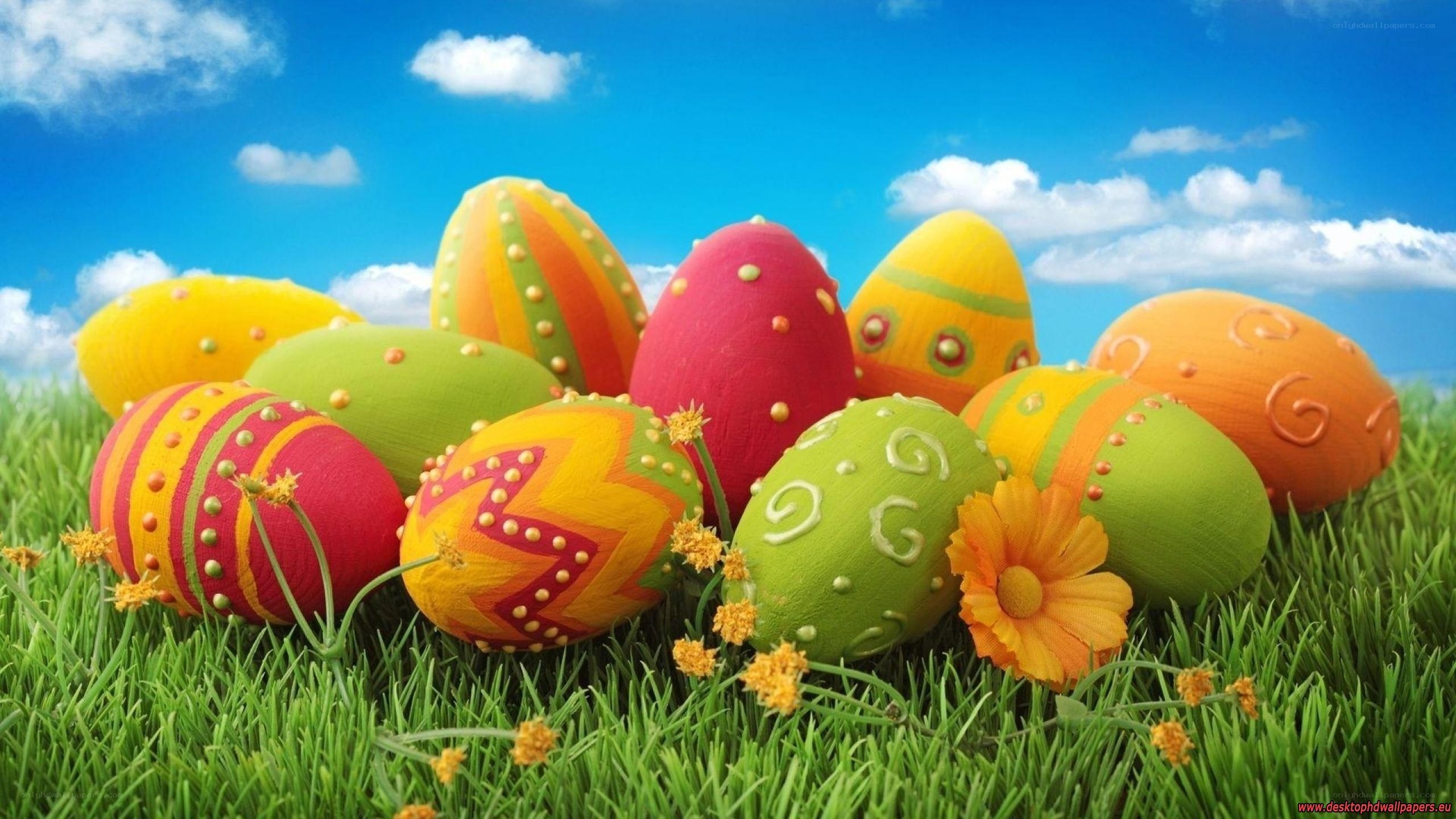 Colorful Easter eggs in grass