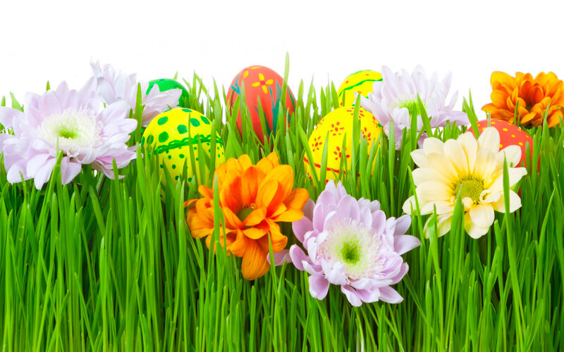 Colorful Easter Eggs in Grass — Green, Festive, Spring, Photograph