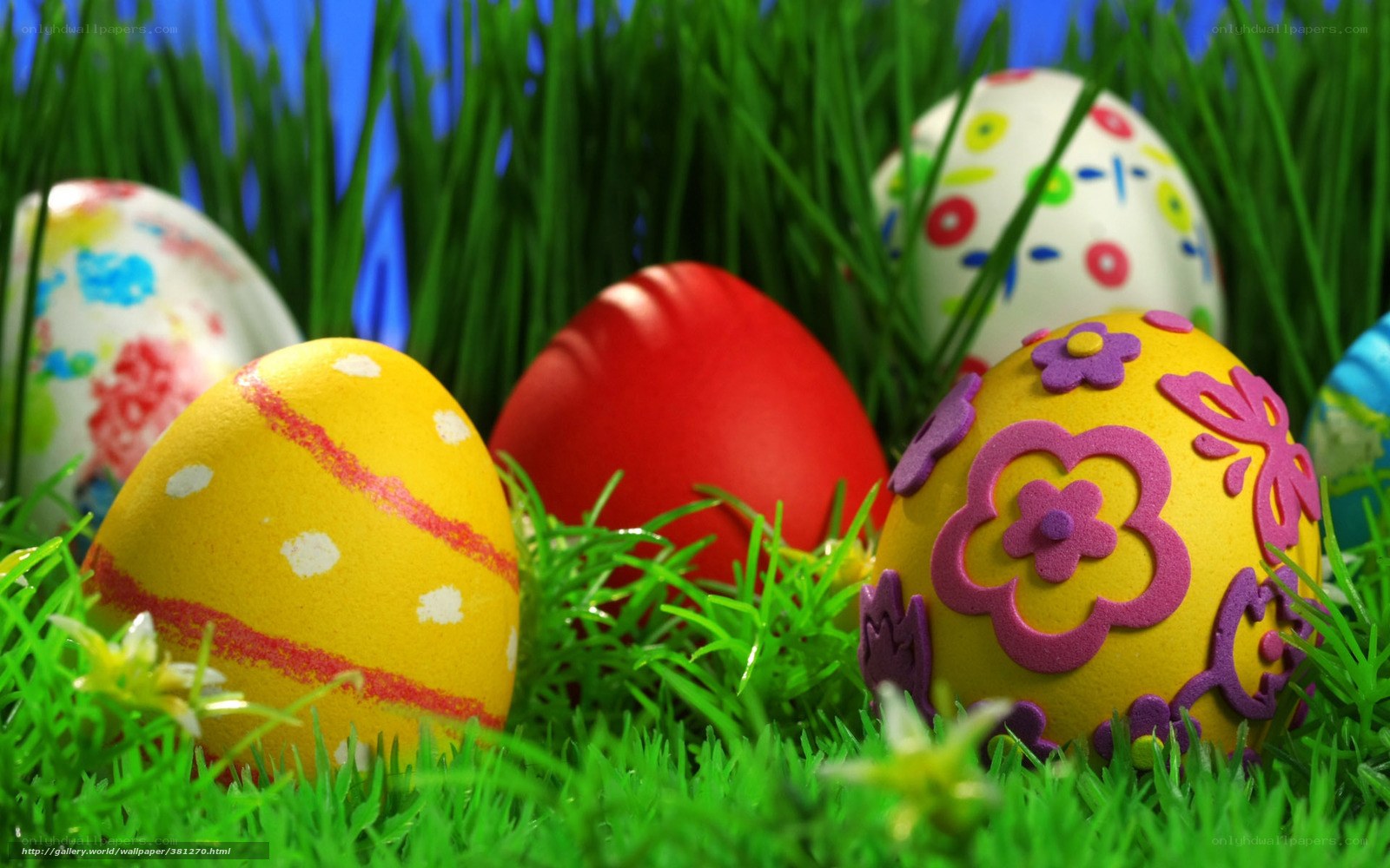 Colorful Easter eggs in grass
