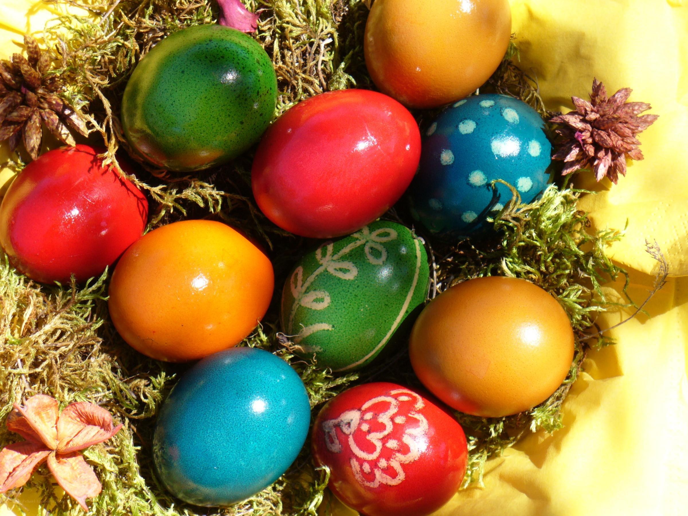 Colorful Easter eggs in moss
