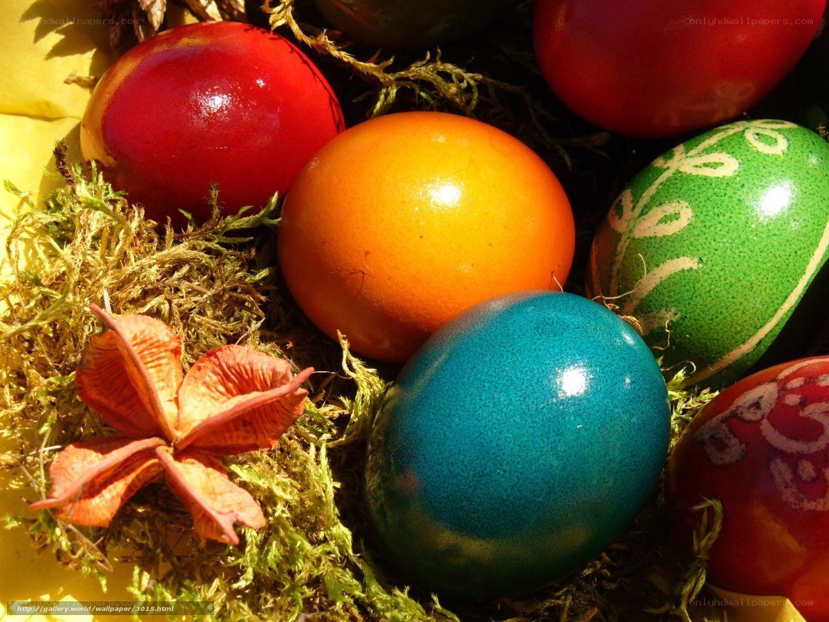 Colorful Easter eggs in moss
