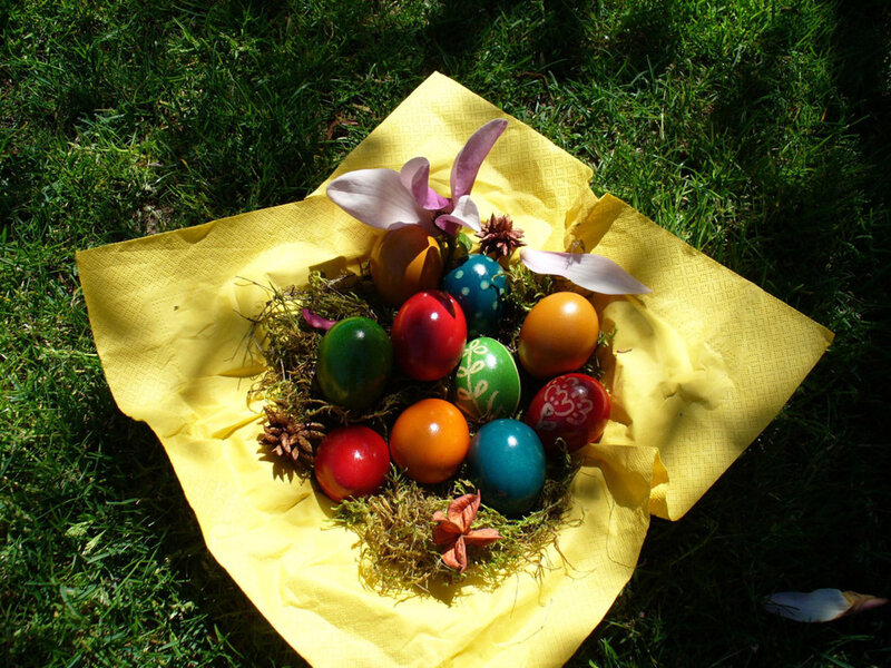 Colorful Easter eggs in nest