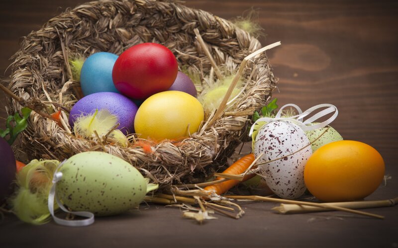 Colorful Easter Eggs in Nest — Brown, Festive, Spring