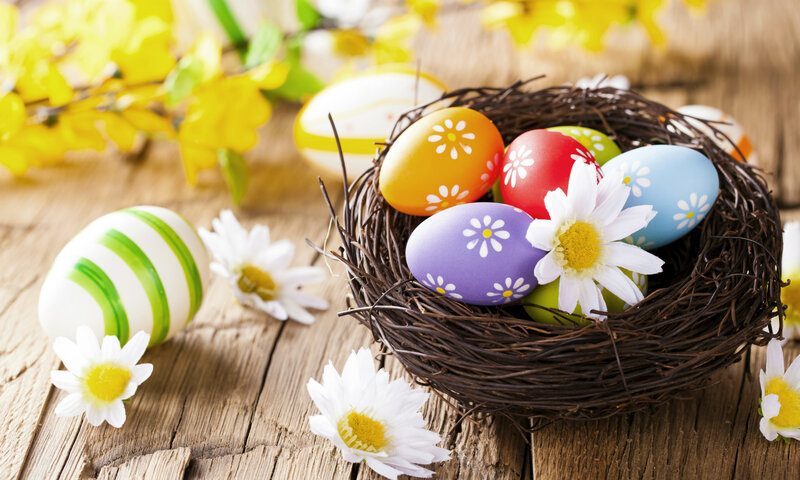 Colorful Easter Eggs in Nest — Brown, Festive