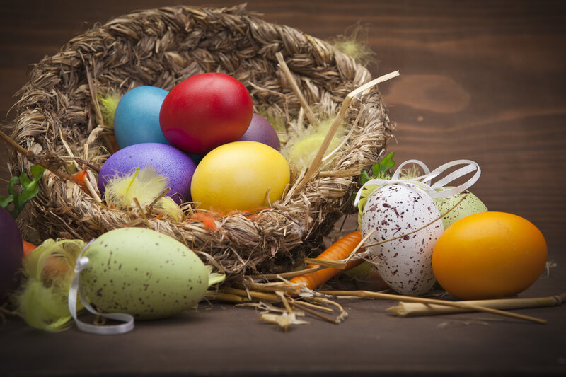 Colorful Easter Eggs in Nest — Brown
