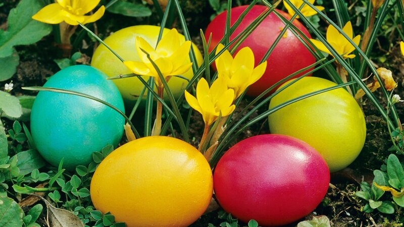 Colorful Easter eggs in spring