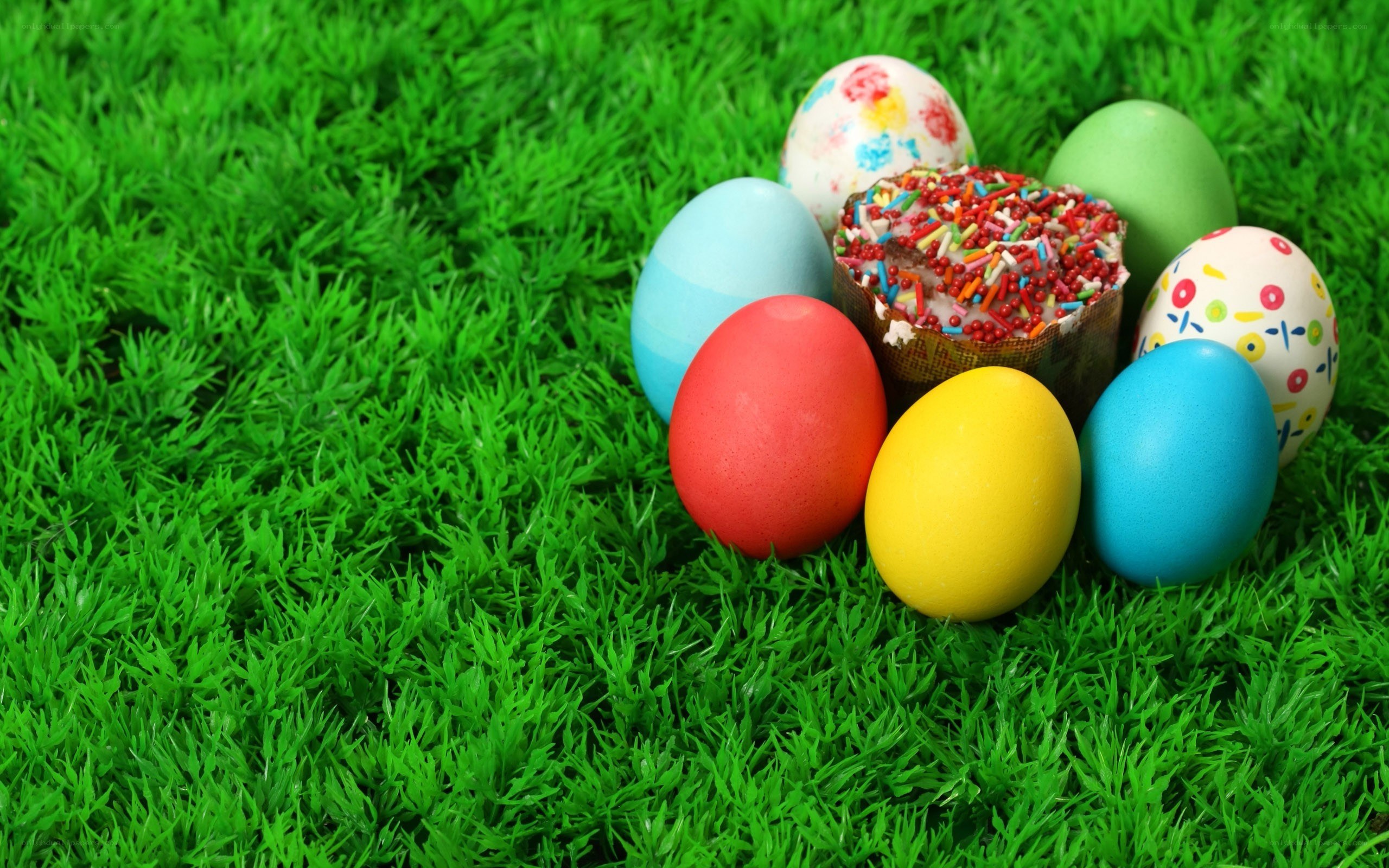 Colorful Easter eggs on grass