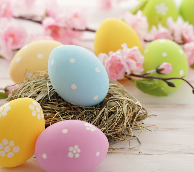 Colorful Easter Eggs — Pastel, Festive, Spring, Photograph
