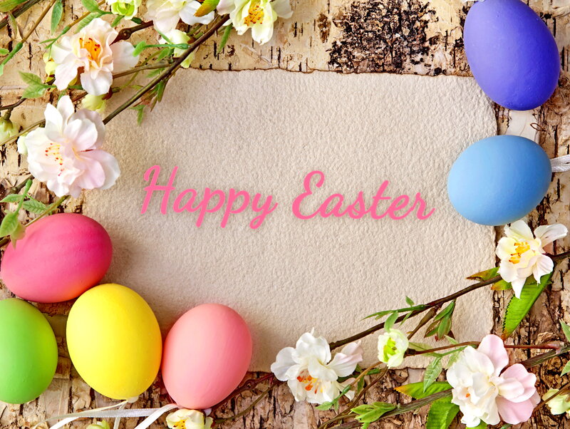 Colorful Easter Eggs — Pink, Festive, Spring, Photograph, Flowers, Birch Bark