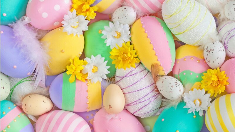 Colorful Easter Eggs — Pink, Festive, Spring, Photograph, Flowers, Feathers