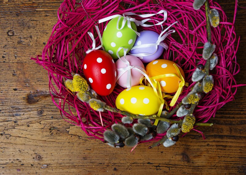 Colorful Easter Eggs — Pink, Festive, Spring, Photograph