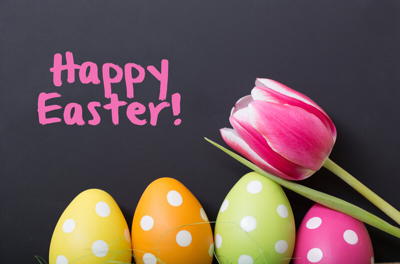 Colorful Easter Eggs — Pink, Festive, Spring, Photograph, Tulip