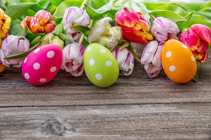 Colorful Easter Eggs — Pink, Festive, Spring, Photograph, Tulips