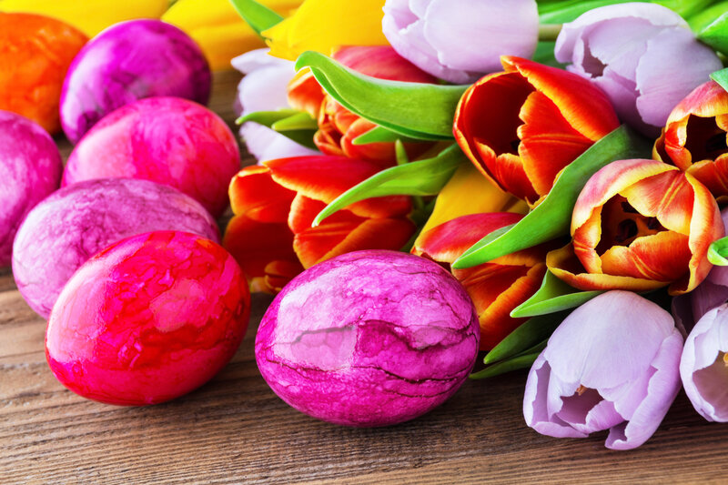Colorful Easter Eggs — Pink, Festive, Spring, Photograph, Tulips, Wooden Surface