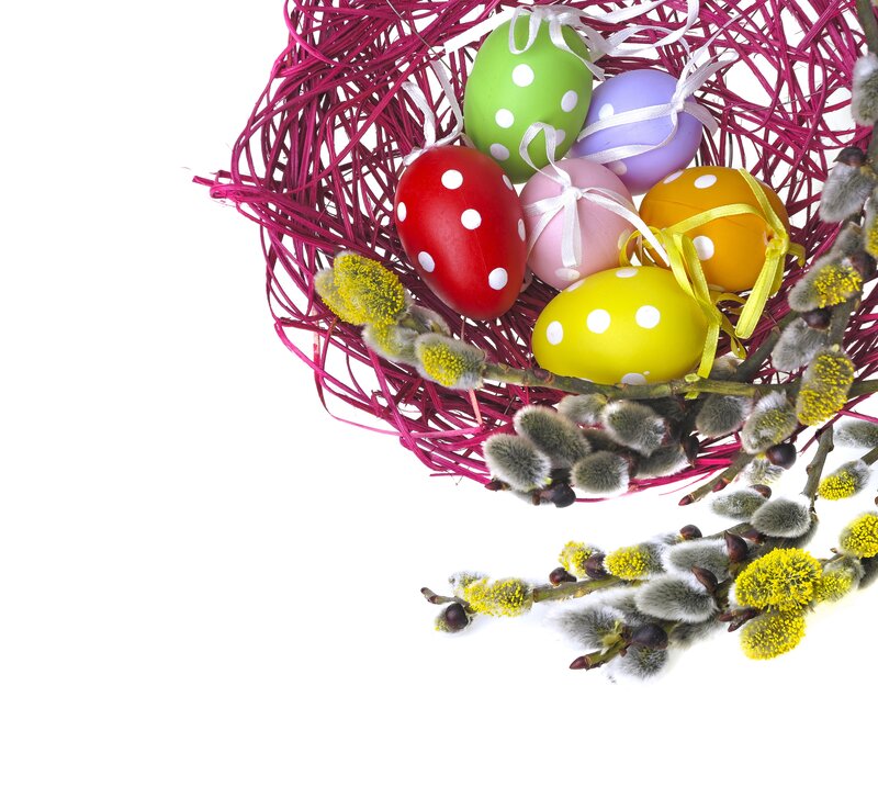 Colorful Easter Eggs — Pink, Festive, Spring, Photograph, Willow Branches