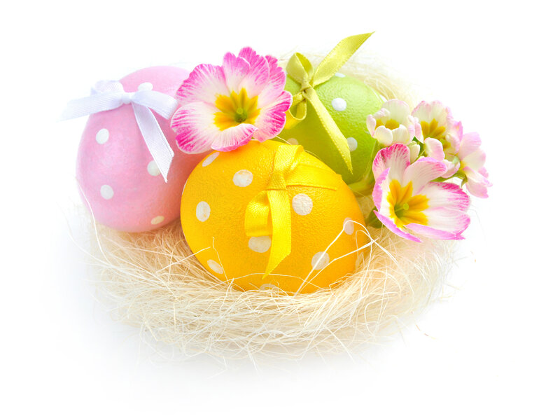 Colorful Easter Eggs — Pink, Festive, Spring