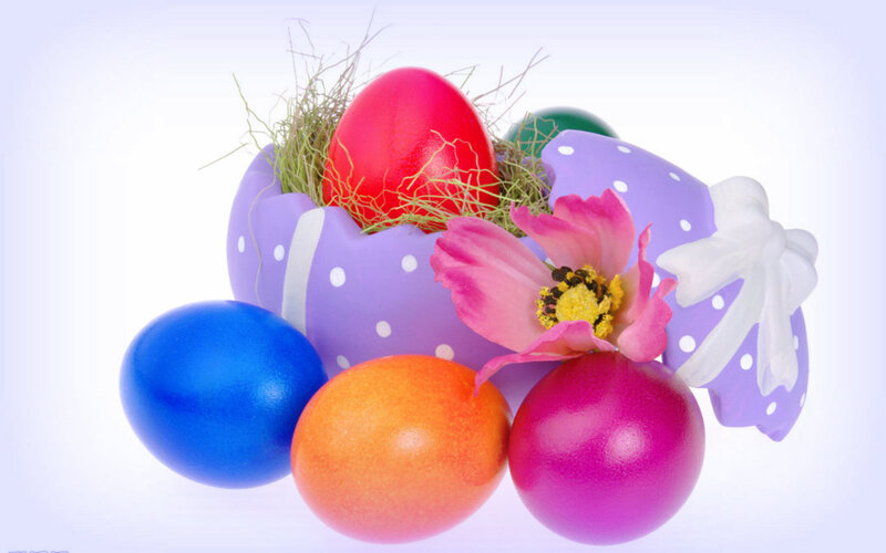 Colorful Easter Eggs — Purple, Festive, Spring, Photograph, Flower