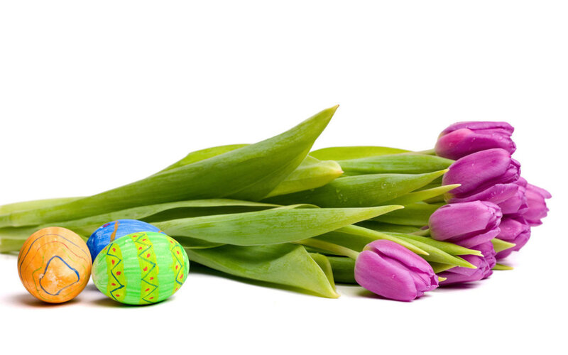 Colorful Easter Eggs — Purple, Festive, Spring, Photograph