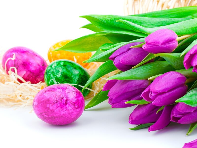 Colorful Easter Eggs — Purple, Festive, Spring, Photograph, Tulips