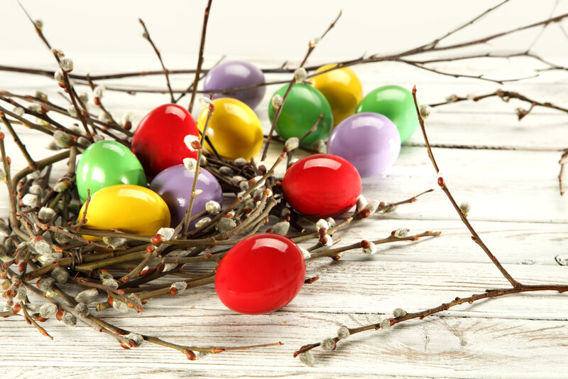 Colorful Easter Eggs — Red, Festive, Spring, Photograph, Branches