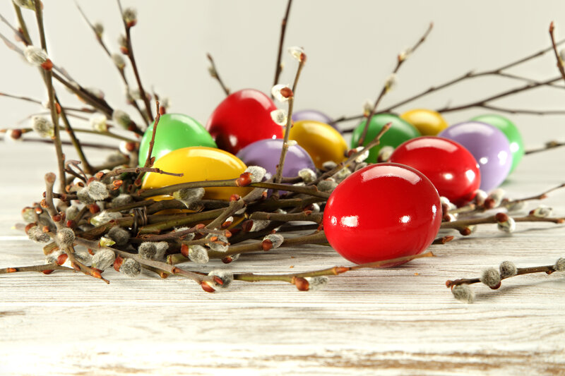 Colorful Easter Eggs — Red, Festive, Spring, Photograph, Willow Branches