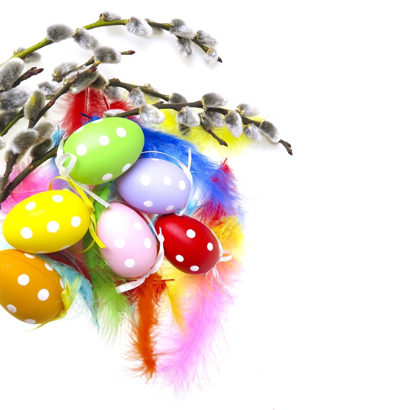 Colorful Easter Eggs — White, Festive, Spring, Photograph, Feathers