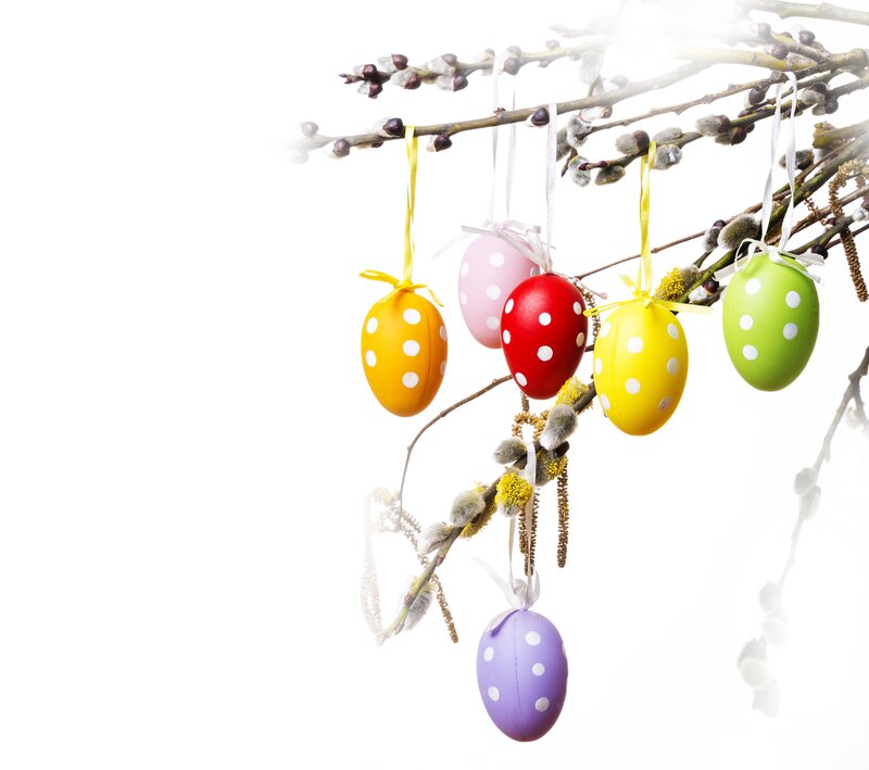 Colorful Easter Eggs — White, Festive, Spring