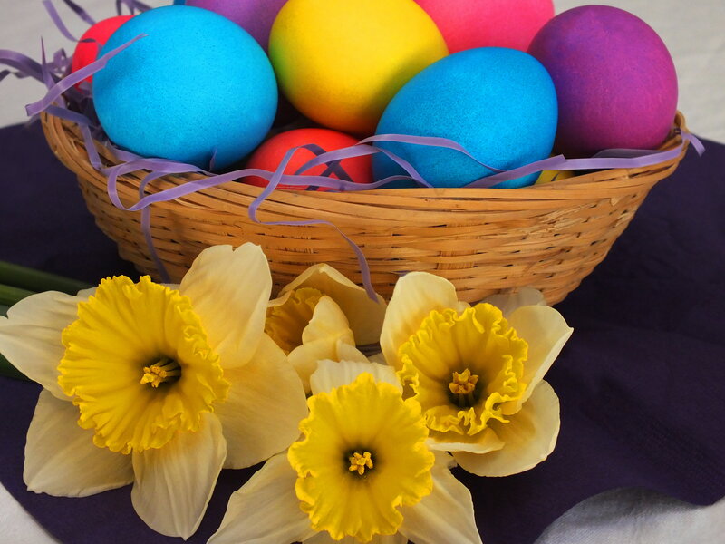 Colorful Easter Eggs — Yellow, Festive, Spring, Photograph, Daffodils