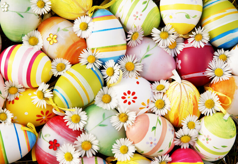Colorful Easter Eggs — Yellow, Festive, Spring, Photograph, Daisies