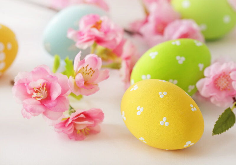 Colorful Easter Eggs — Yellow, Festive, Spring, Photograph, Flowers, Branches