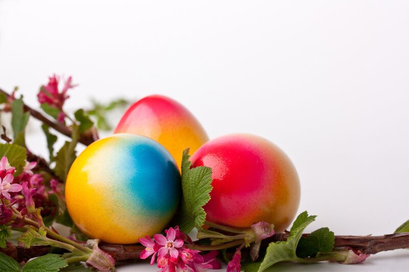 Colorful Easter Eggs — Yellow, Festive, Spring, Photograph, Flowers