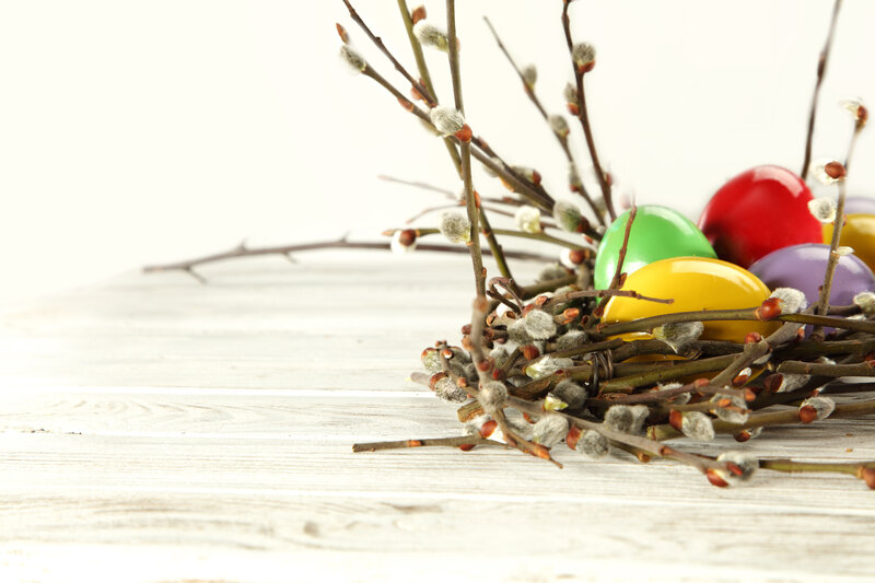 Colorful Easter Eggs — Yellow, Festive, Spring, Photograph, Willow Branches