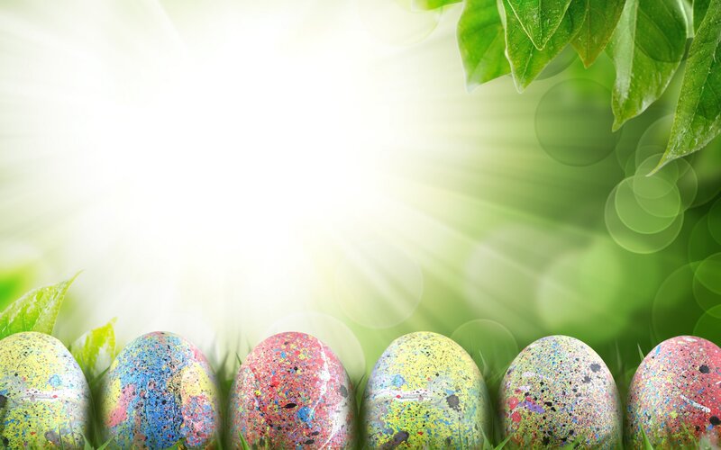 Colorful Eggs in Grass — Green, Bright