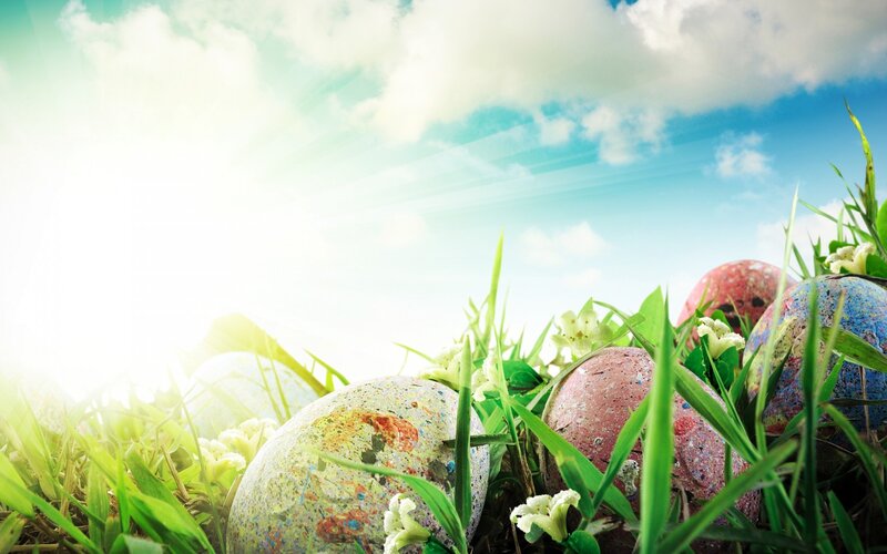 Colorful Eggs in Grass — Green, Serene, Morning